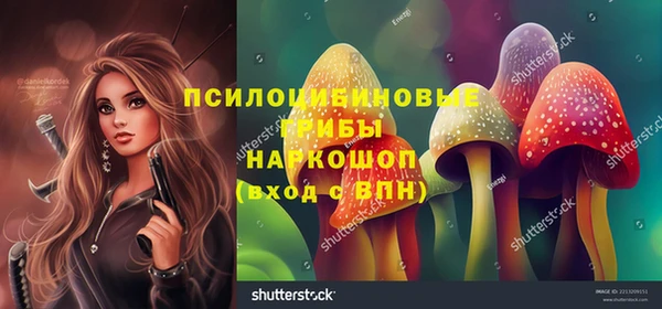 гашик Беломорск