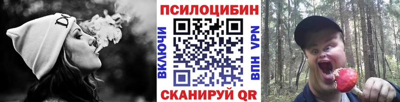 Галлюциногенные грибы Magic Shrooms  Купить  Ахтубинск 